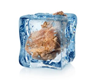 Freeziepedia 2 tagline her! FrozenMeat IStock 2 680151226