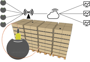 Real time sensors | Temperature sensors | FreezeTeq