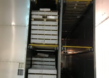 Blast Freezer, 160 pallets